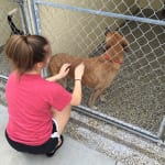 All the dogs in the kennel just loved our visit with them. 150x150 Humane Society of Tampa Bay