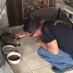Noah takes a moment and spends a little quality time with one of the cats. 150x150 Humane Society of Tampa Bay
